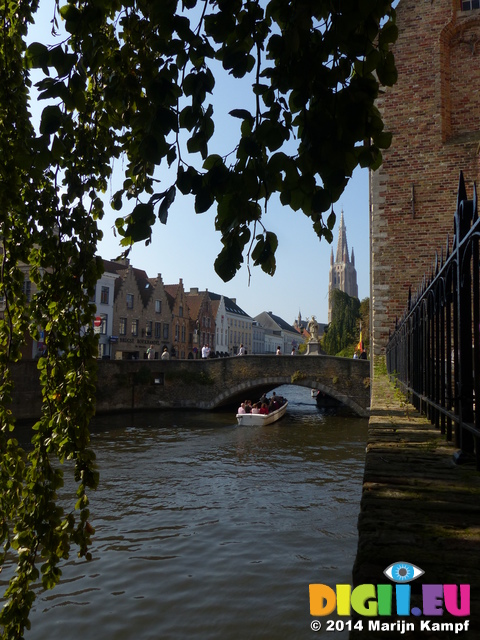 FZ008639 Weeping willow and canal